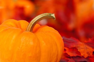 10 ways to get your home ready for fall