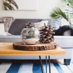 Current Home Zone Favorites