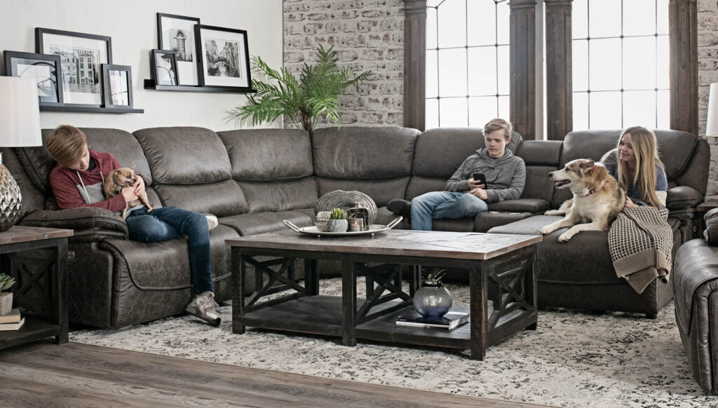 Your Guide to Choosing Pet-Friendly Furniture