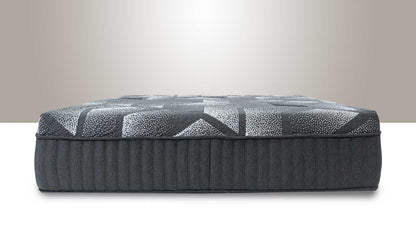 Zenith Plush Mattress